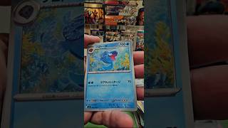 #stellarmiracle master set hunting 🤭🫣