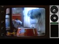 1990 Purina Grrravy Midnight Snack