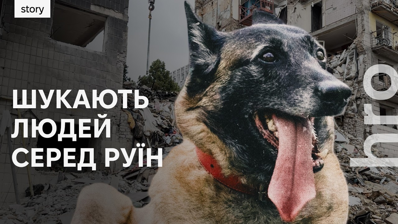 «Як вийде на пенсію — піде на танці». Собаки, які шукають людей під завалами /