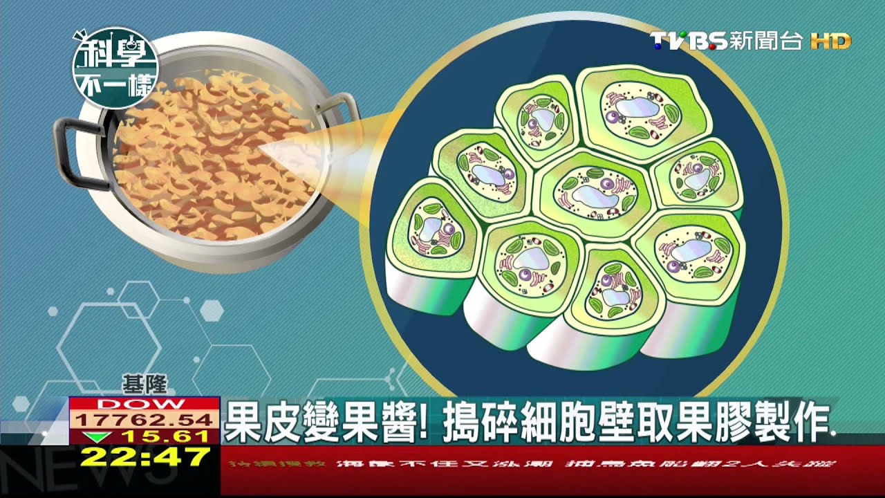 【科學不一樣】果皮變果醬! 搗碎細胞壁取果膠製作