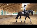 USDF INTRO C - ride thru