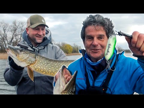 Saisonstart Hecht: Mit Jerkbait angeln in Brandenburg