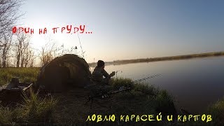 Как ловли карпа в апреле на пруду