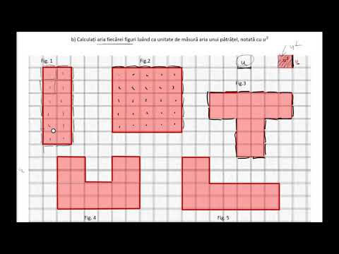 Perimetre si arii pe retele patrate