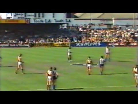 1982 VFL Round 22 - North Melbourne vs Richmond