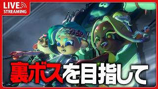 今日こそ裏ボスに行きます【 スプラトゥーンレイダース  】