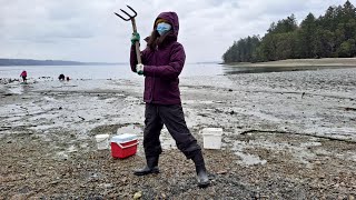 2021年 Penrose State Park 潮干狩り 解禁/ Clamming @ Penrose State Park 2021