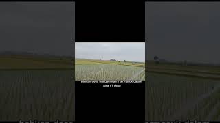 Download lagu profil desa marga cinta (Muhammad Syamsul Maarif ) mp3 Download lagu profil desa marga cinta (Muhammad Syamsul Maarif ) mp3