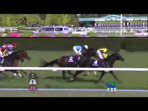 2014 TENNO SHO (SPRING) G1