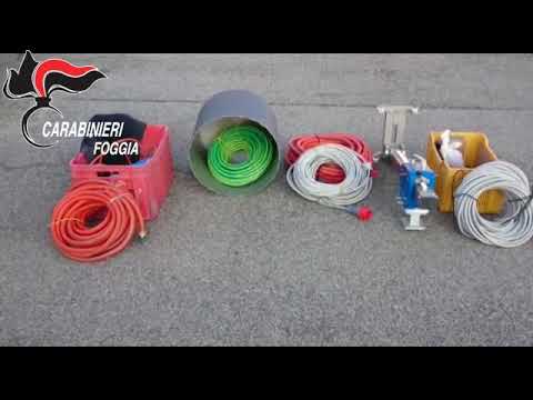 Operazione Ocean’s Twelve: sventato un colpo milionario