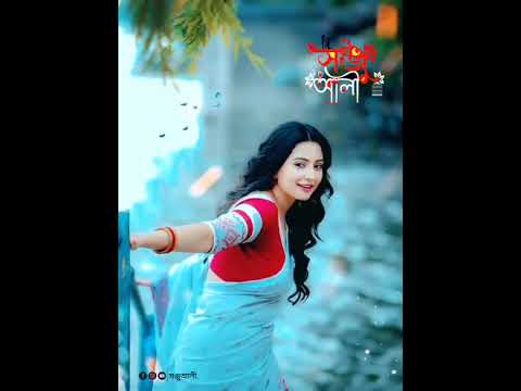 Ami bachle bachbo morle morbo