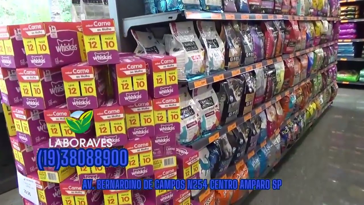 Cozinhando o Galo na TV_12-10-24