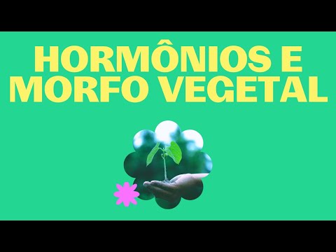 Live: Hormônios e morfologia vegetal