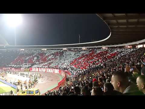 159. derbi Crvena Zvezda - Partizan 1-1, 02.03.2019. / Vrati srpski pasoš Mustafa