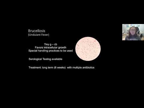 Cardiovascular and Lymphatic Part 1