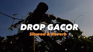 Download lagu DJ DROP GACOR - SLOWED   REVERB🎧 mp3