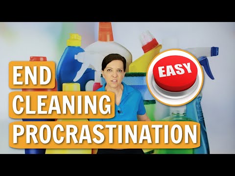 End Cleaning Procrastination - I Love to Clean and I'm So Good At It!