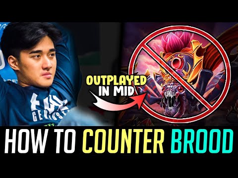 abed es vs broodmother mid DOTA 2