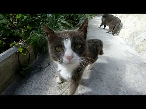 Bari Beaches - Part 1