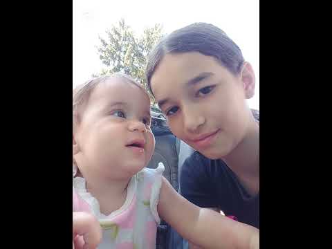 Веселата петорка 