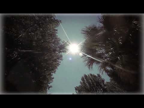 Evotia - My Way (C37 Remix)