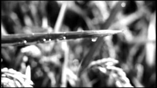 Always Waiting  MIchael Kiwanuka   Agosto 2012