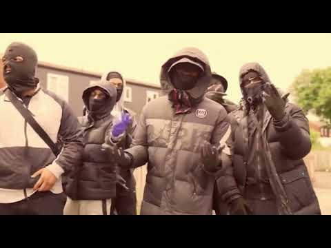 @ARMED RESPONSE Coolie 18 @8 Rose - Birmingham News