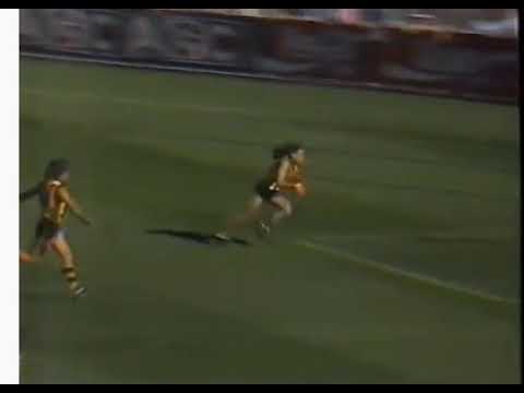 North Melbourne VS Hawthorn 1988 John Platten Jason Dunstall
