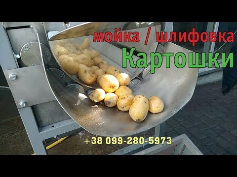 Оборудование для очистки овощей, мойка щеточная