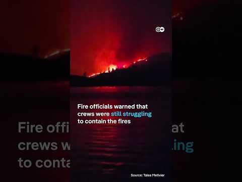 'It's just heartbreaking': Spokane wildfires leave trail of widespread destruction | DW News