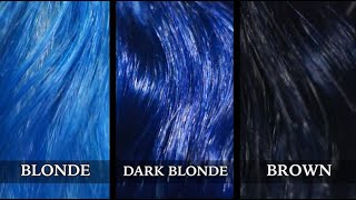 XMONDO Super Blue on Blonde, Dark blonde and Brown hair Review