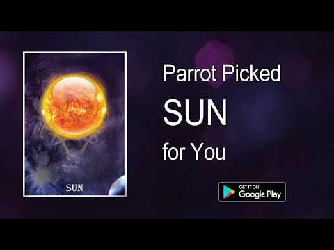Kili Josiyam Parrot Astrology - Tarot card Reading Video