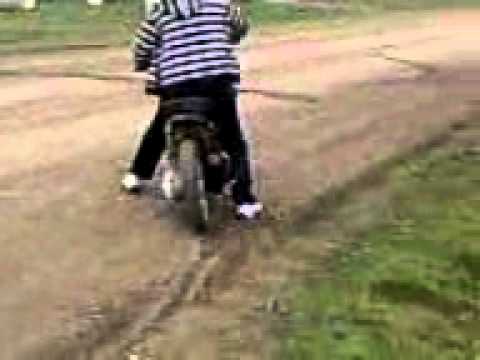 liesti scarabeu lu doru