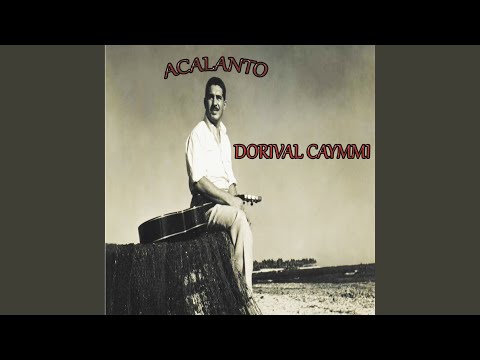 Vida de Negro video