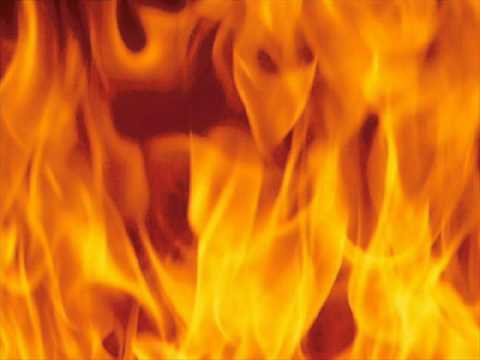 TARANCHYLA-WIFEY ANTHEM