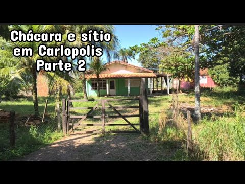 Chácara e sítio em Carlopolis PR parte 2