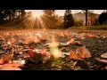 ( Hòa Tấu Piano ) Fabrizio Paterlini - Autumn Stories ...