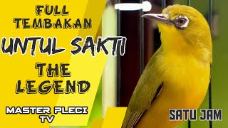 Download lagu MASTERAN PLECI TEMBAKAN SANG LEGENDA JAWARA mp3