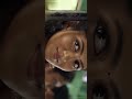 First Sight Bus Sight Whatsapp Status Fill Screen Whatsapp Status Tamil