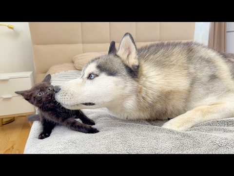 YouTube 썸네일