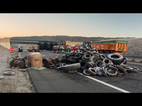 Video | French farmers block A75 motorway in protest against lumpy skin disease cull | AFP