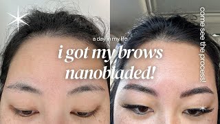Nanoblading My Eyebrows: The Truth (Worth It?) 💗✨