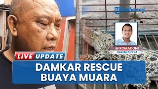 Damkar Kota Mojokerto Evakuasi Buaya Muara Berukuran 1 Meter, Ditemukan Warga di Kelurahan Mentikan