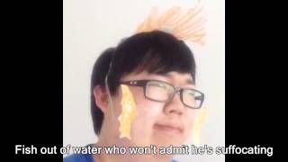 OFFICIAL PROZD VINE COMPILATION: Nov 2014-Oct 2015 (Year 1)