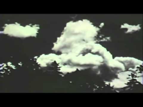 Cleoma Breaux Falcon - Pin Solitaire 1936