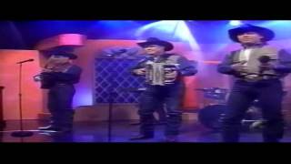 Al Partir - David Lee Garza Y Los Musicales