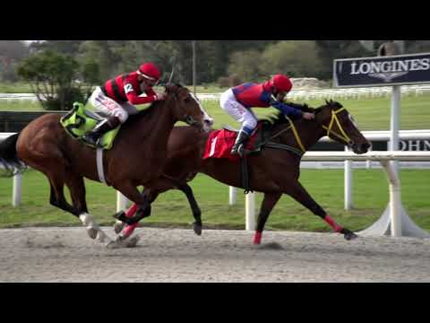 210904 c03 LOLA DEL SABA