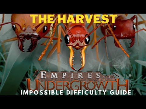3.1 The Harvest IMPOSSIBLE DIFFICULTY Quick Guide - Empires of the Undergrowth