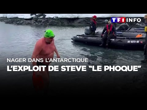 Nager dans l'Antarctique : l'exploit de Steve "le Phoque"