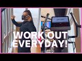How To Love The Gym Stay Motivated